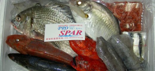 プロ・スパー 鮮魚 おまかせ鮮魚BOX